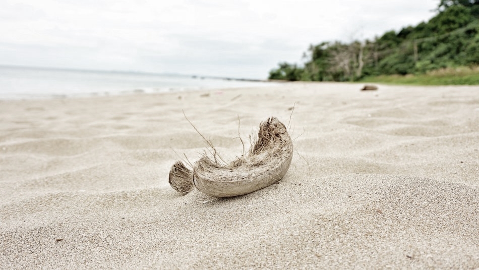rozbity kokos na tajskiej plaży