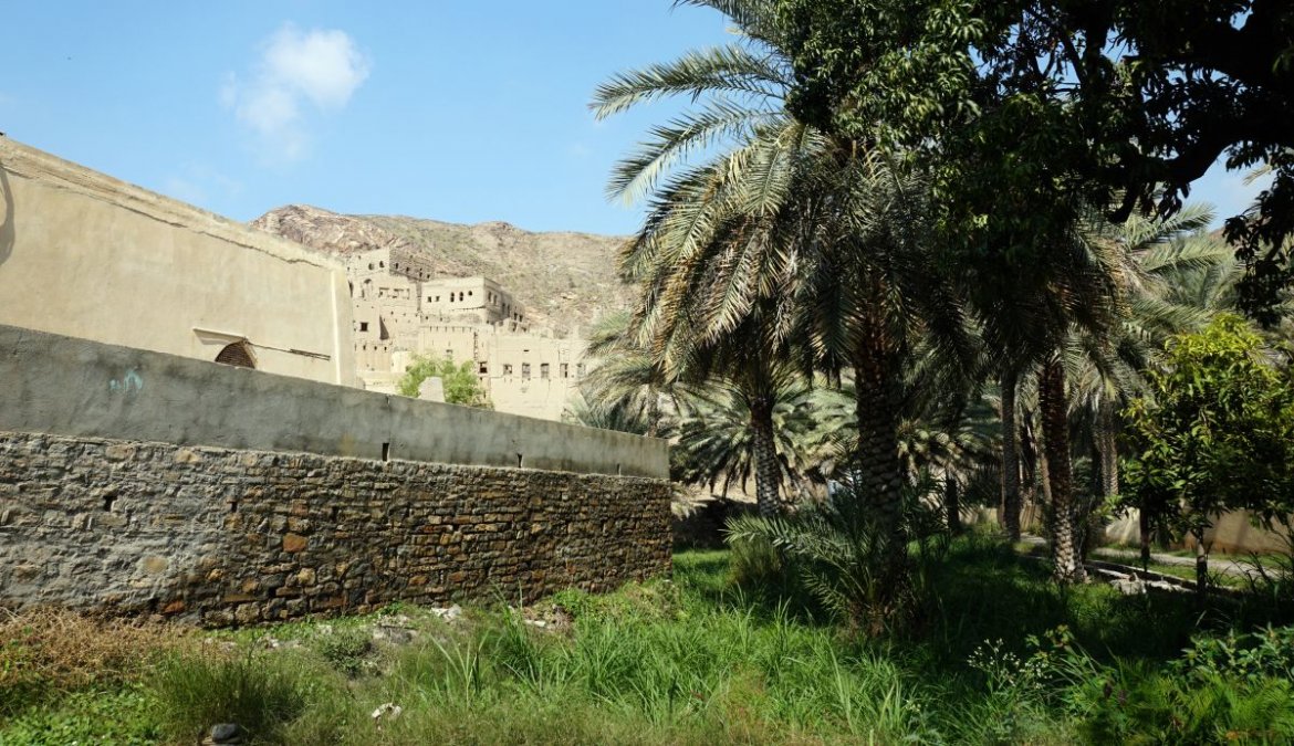 Birkat Al Mouz w Omanie