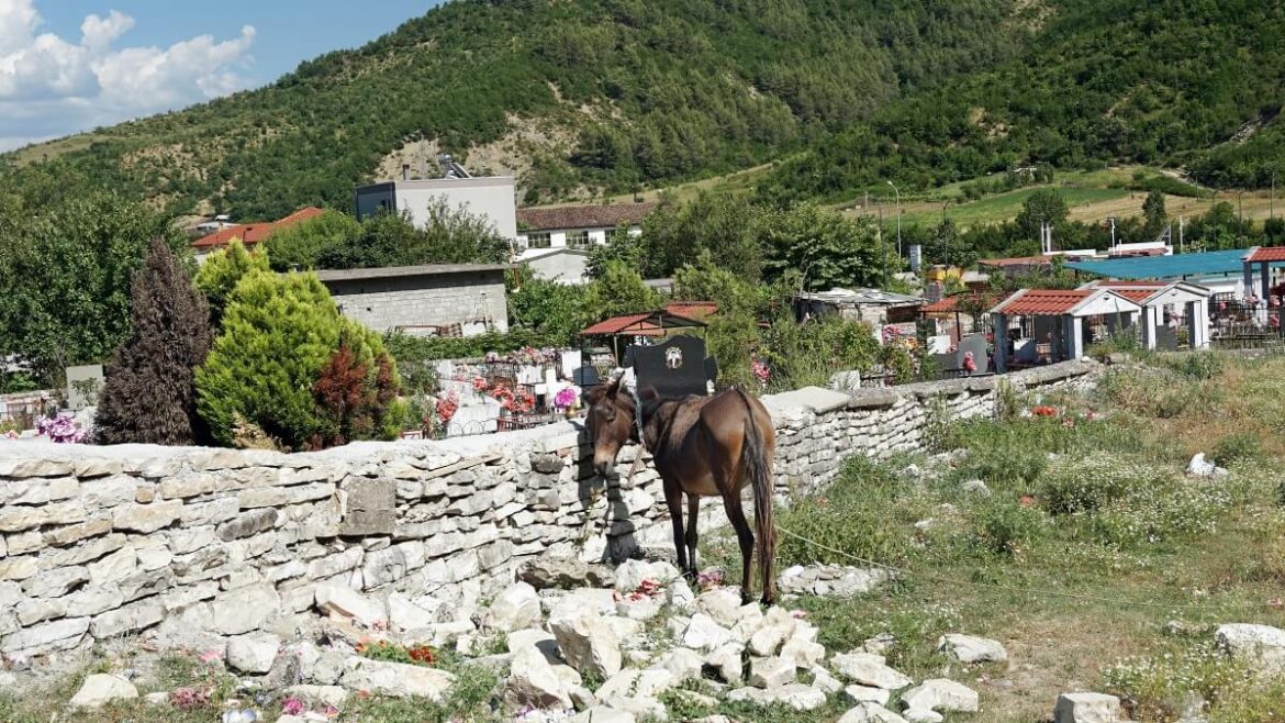 Kelcyra w Albanii