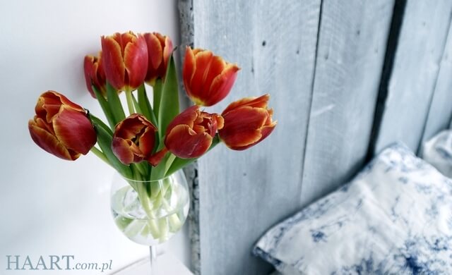 tulipany przy łóżku