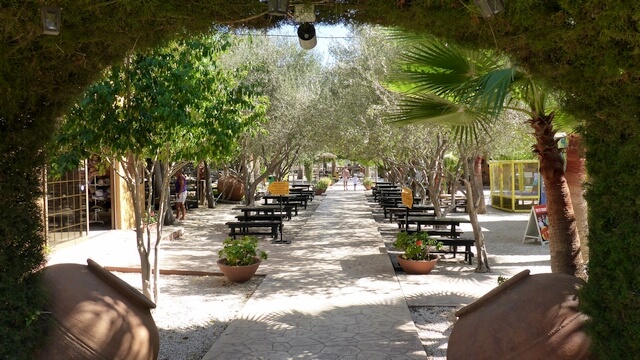 park wypoczynkowy dla dzieci, camel park na cyprze