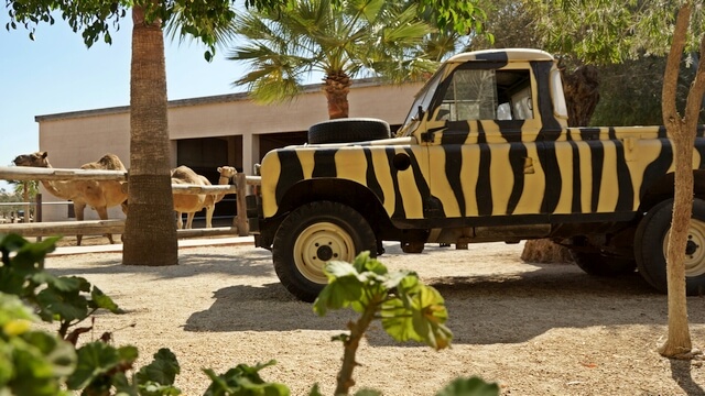 stary jeep na safari, camel park, cypr