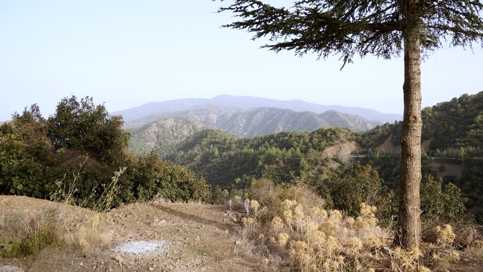 widoki w górach troodos na cyprze