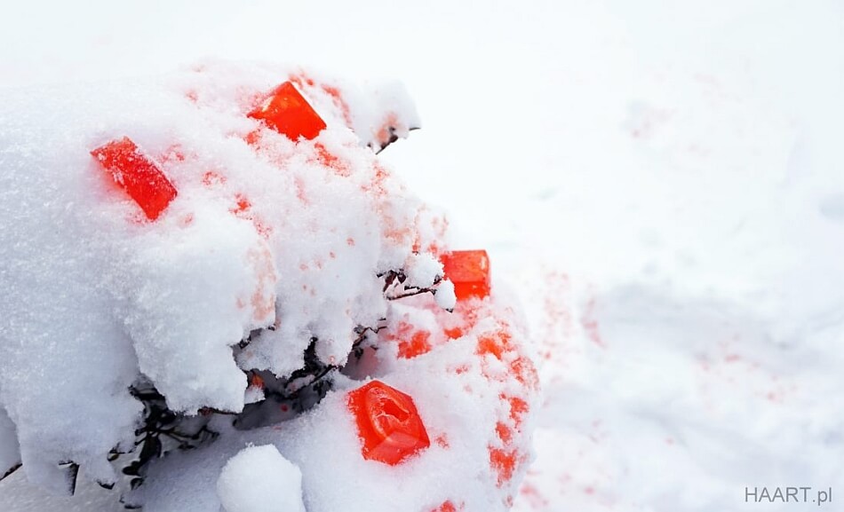 kostki z lodu czerwone, zimowa zabawa z dzieckiem w ogrodzie