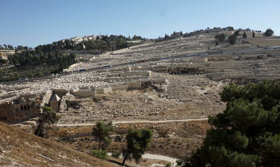 Jerozolima Góra Oliwna i cmentarz
