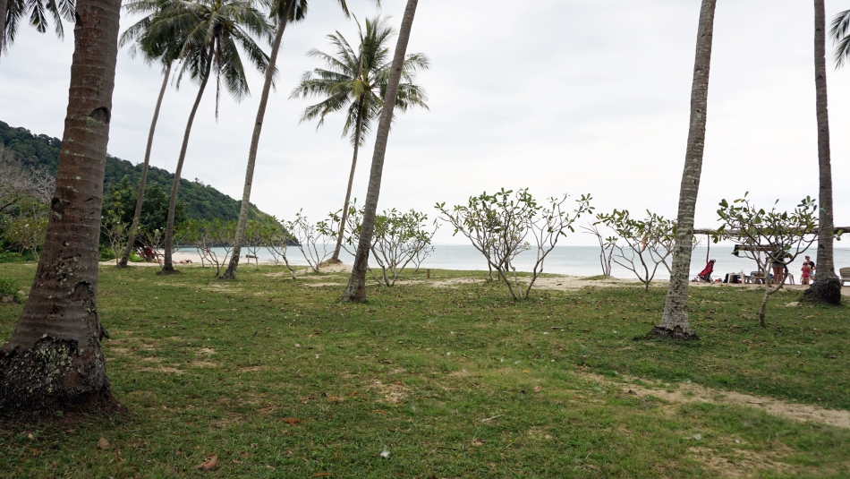 koh lanta tajlandia bamboo beach palmy
