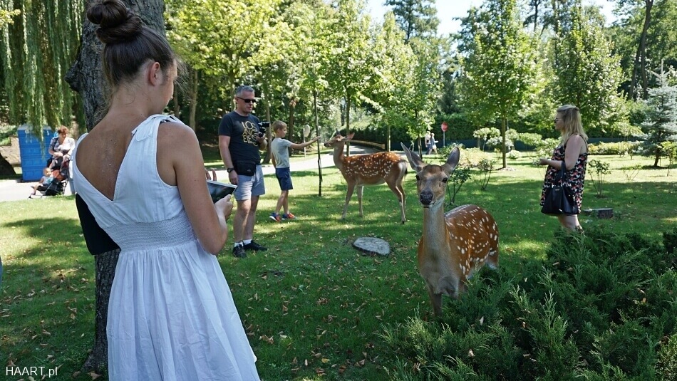 Sarny w Muzeum Korupcji