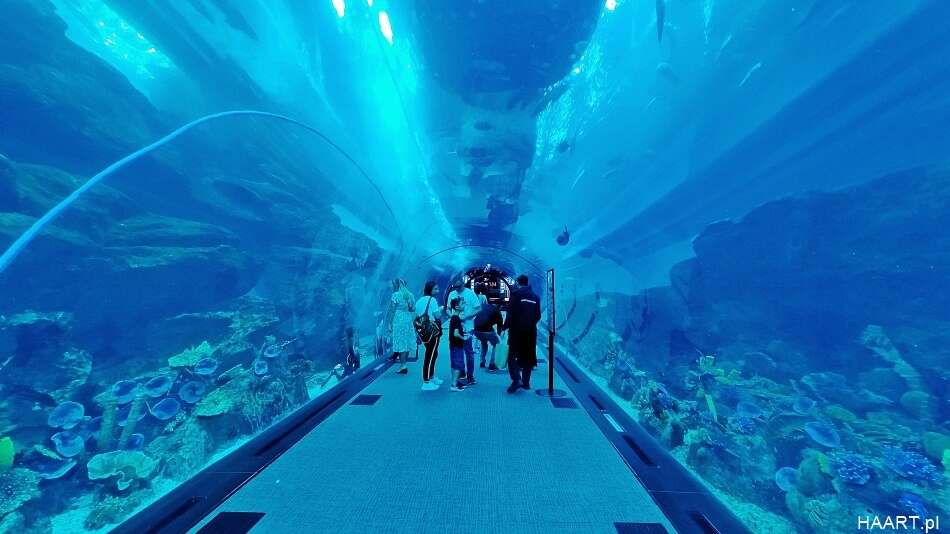 Oceanarium w Dubaju